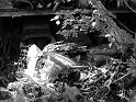 Autofriedhof - 026